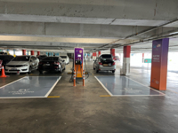 Lotus's Kajang